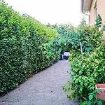 Cocoon Issenheim