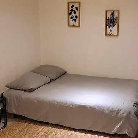 Cocoon 伊斯内姆