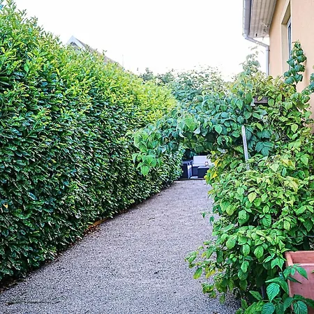 Cocoon Issenheim