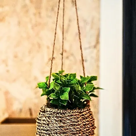 Cocoon Appartement *