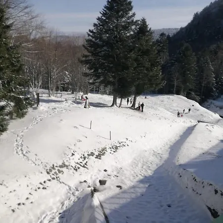 Cocoon Issenheim